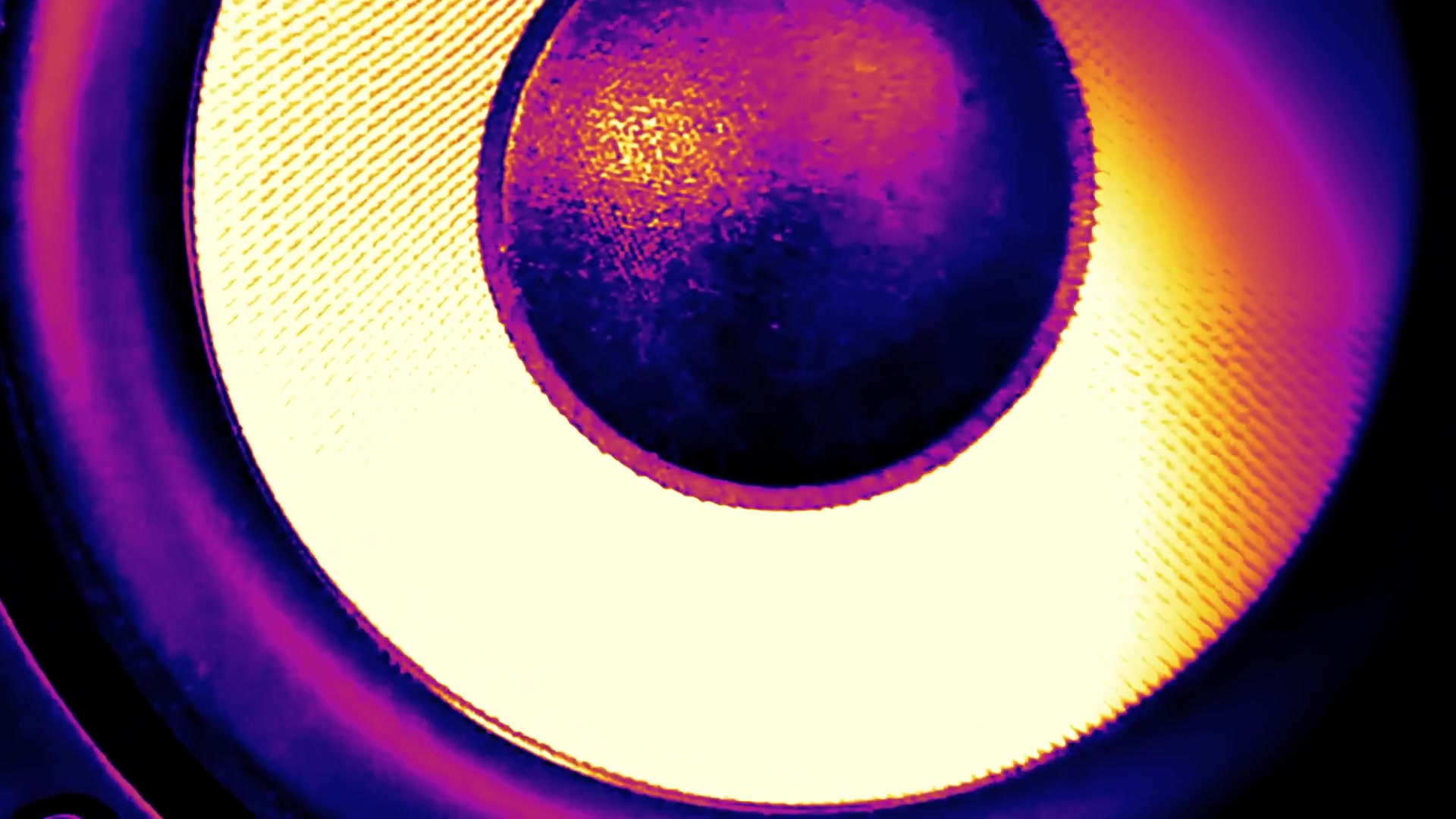 Studio monitor speaker cone